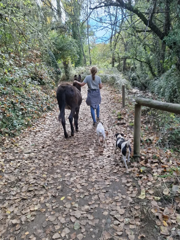 Mujer caminando junto a un burro por un sendero frondoso