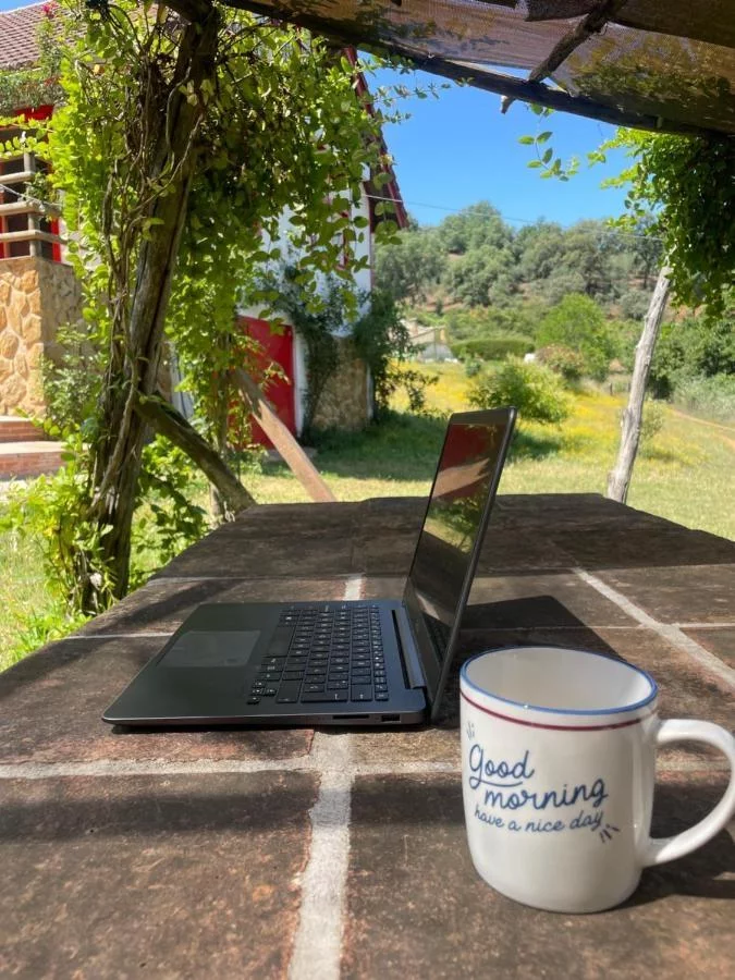 Un ordenador junto a una taza de desayuno, sobre una mesa bajo un sombrajo, junto a la casa