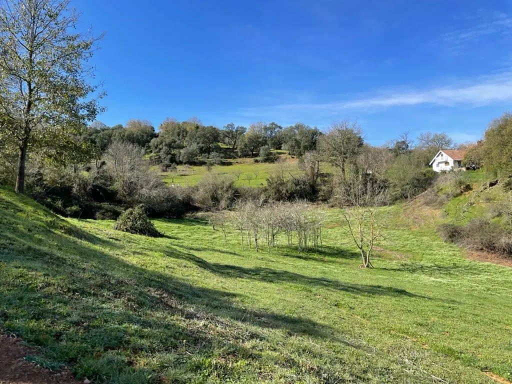 Vistas del entorno de la casa con prados y árboles