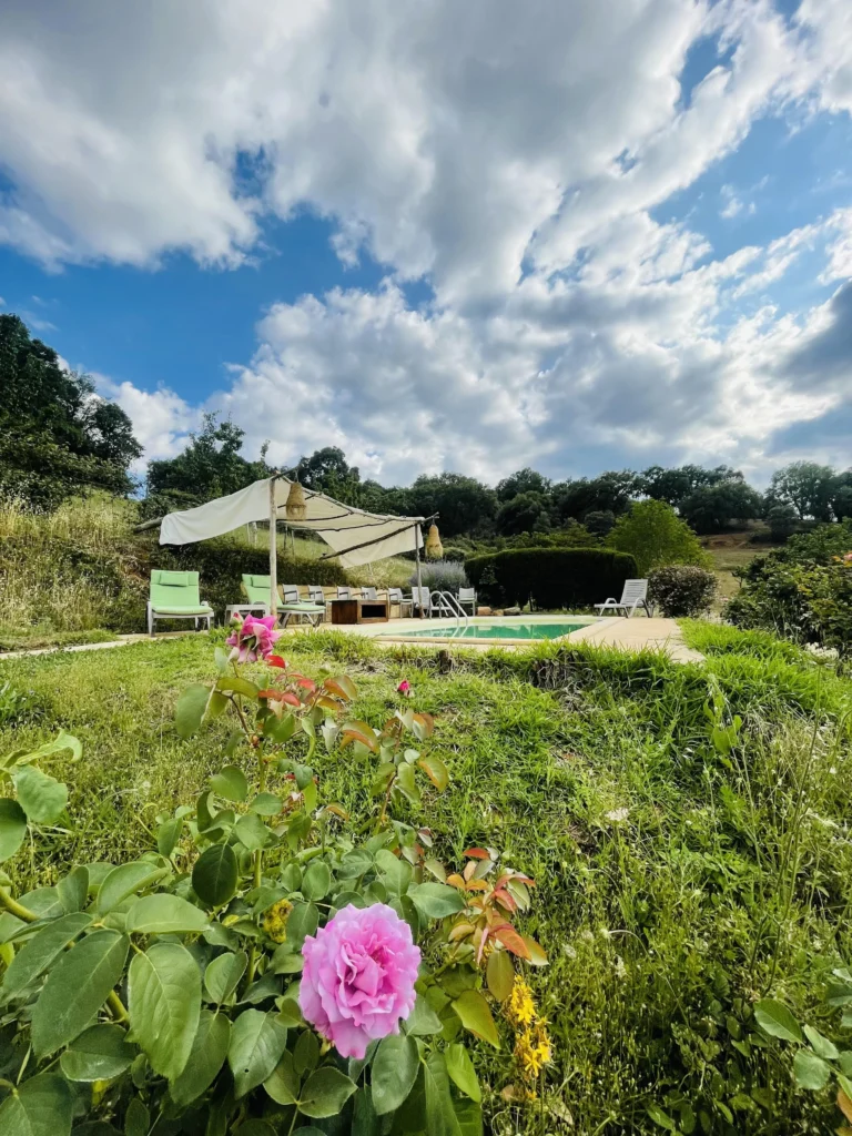 Vista del jardín y la piscina