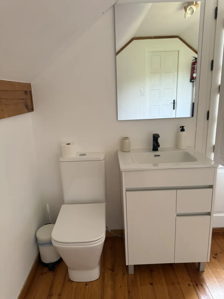 Aseo con techo abuhardillado, wc y lavabo con mueble