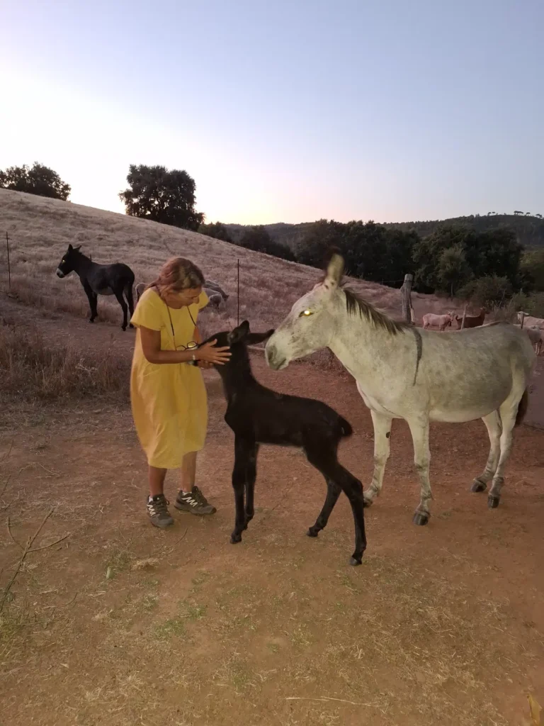 Mujer con tres burros, uno de ellos es una cría.