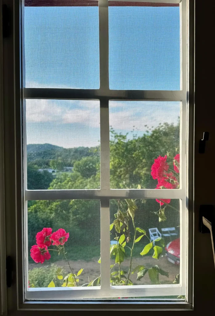 Ventana con vistas a la sierra y rosales